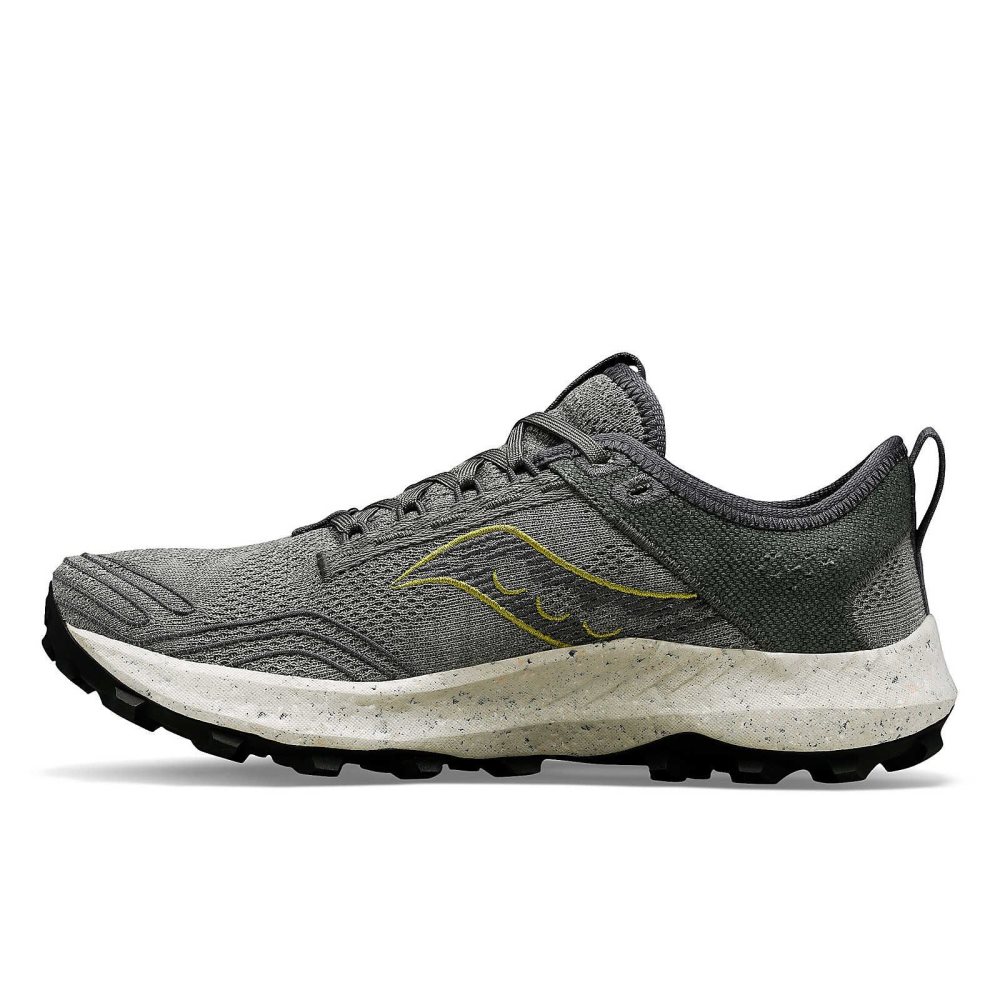 Saucony Peregrine RFG Grå | 06153-ZJRU