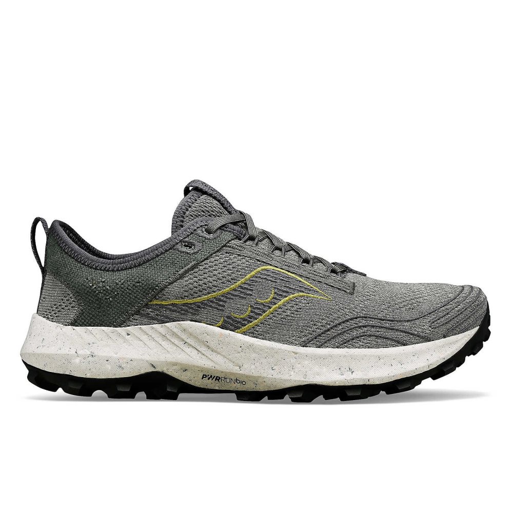 Saucony Peregrine RFG Grå | 06153-ZJRU