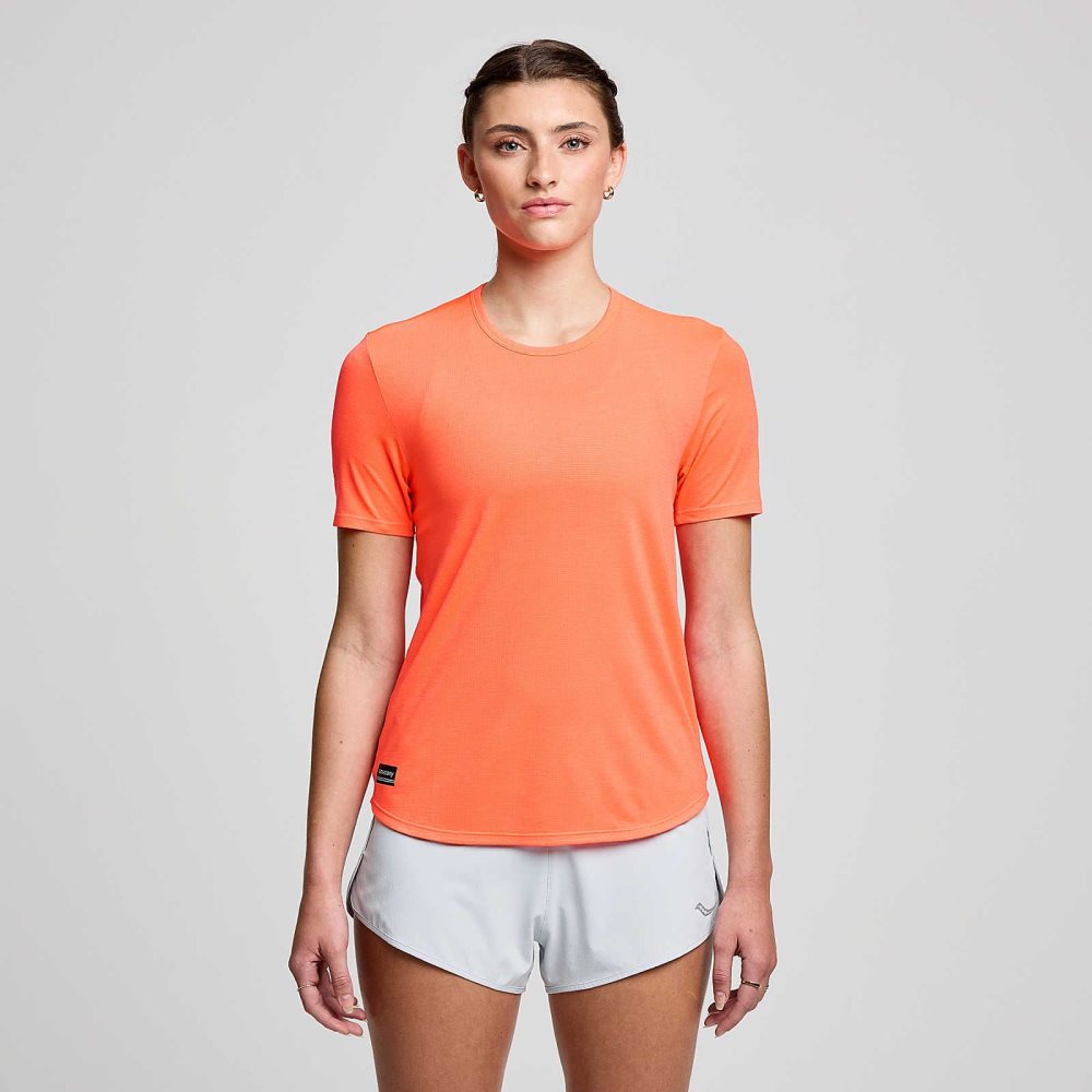 Saucony Stopwatch Short Sleeve ViZiRed | 01394-IWHS