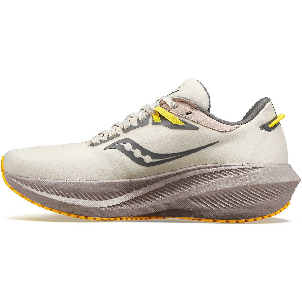 Saucony Triumph 21 RUNSHIELD Beige | 64758-JLQY